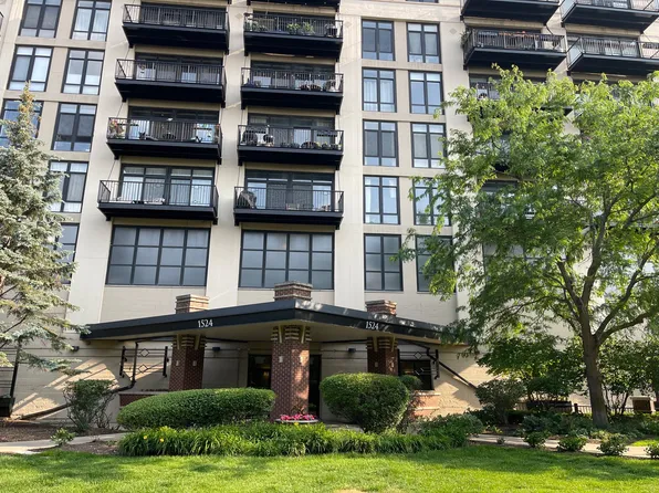 1524 S Sangamon St Unit 317-S, Chicago, IL 60608