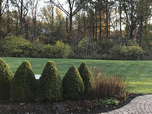 4th image of 253 Tinley Park Cir
