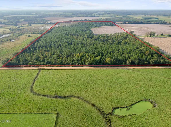 0 Penny Rd, Cottondale, FL 32431