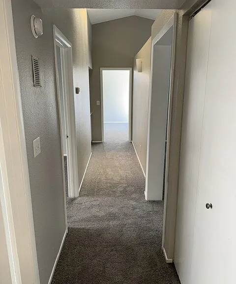 6968 Antell Cir — Photo 11