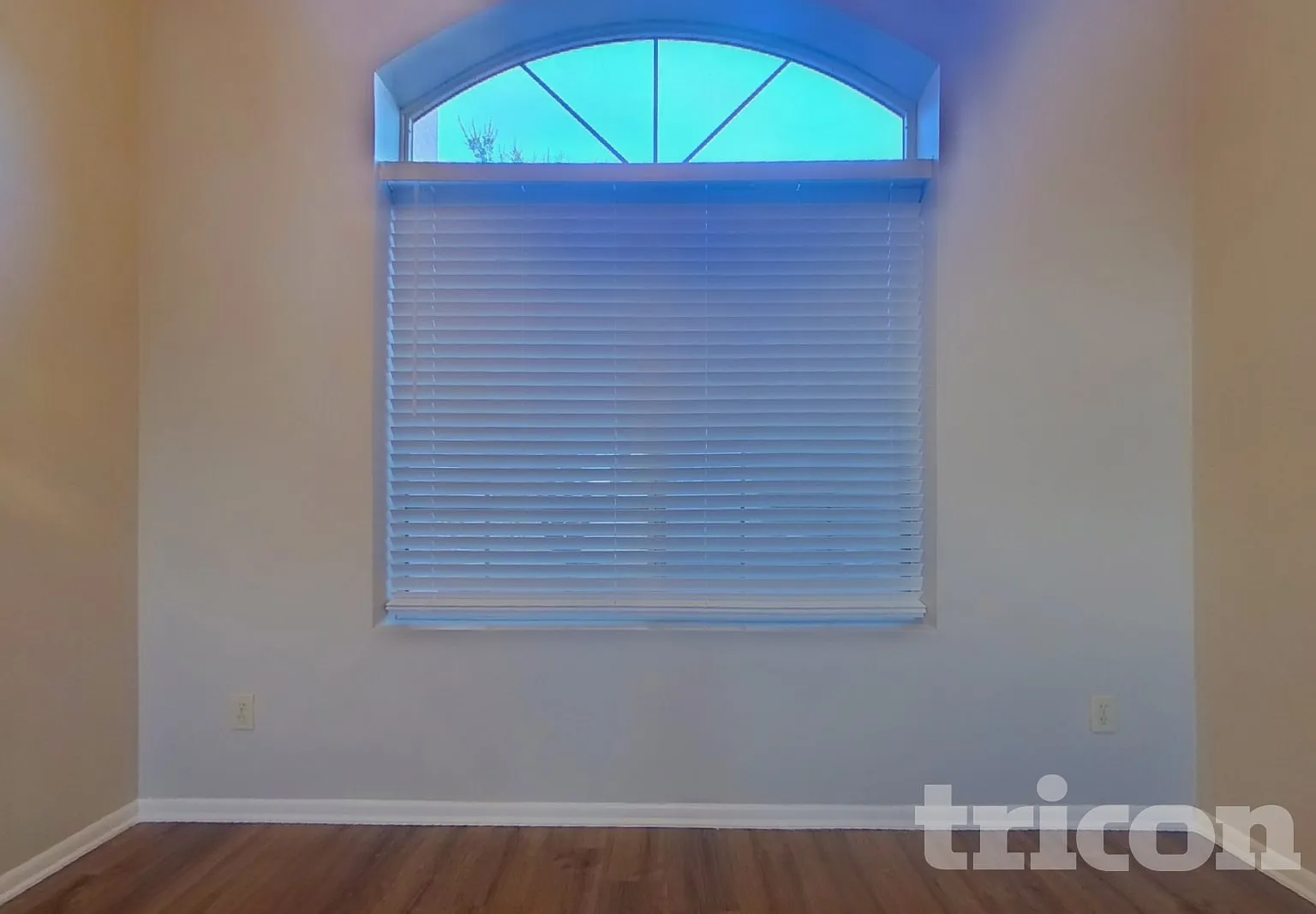 11619 W Cyprus Dr Avondale AZ — Photo 3