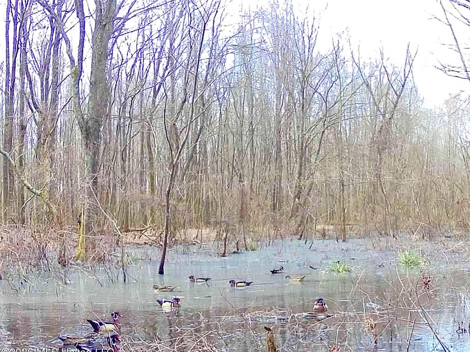 1st image of Howard St