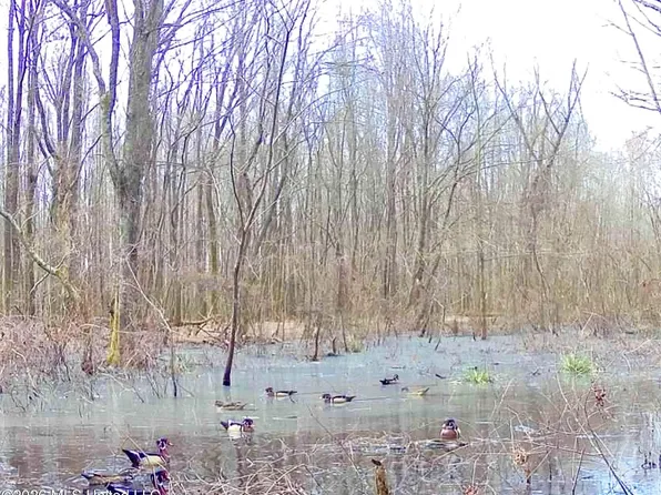 Howard St, Marks, MS 38646