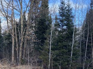 On Bear Lake Rd, Butternut, WI 54514