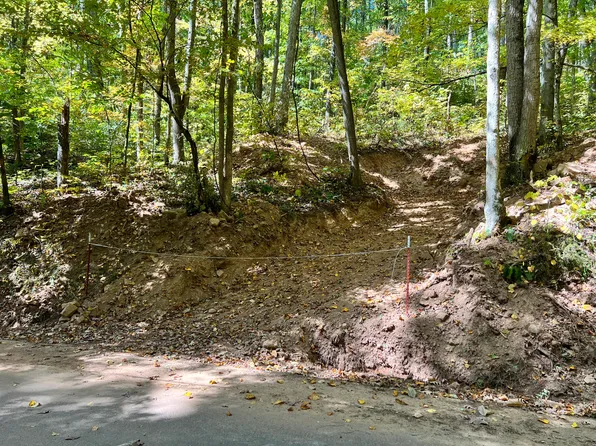 1870 Dyer Hollow Rd, Mohawk, TN 37810