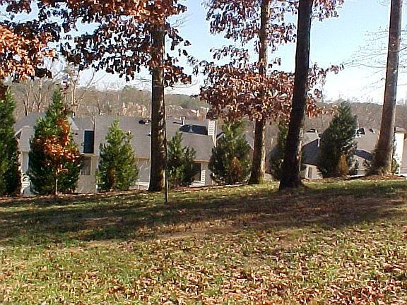 Beyond Back Yard View