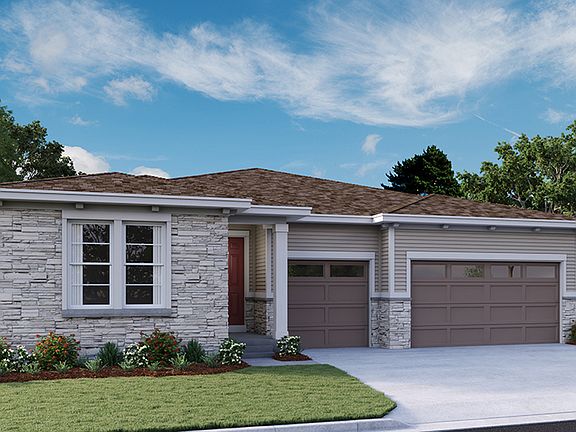 The Darius - Elevation C