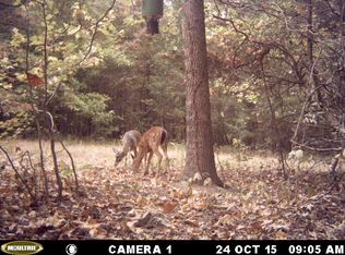 2231 Duncan Rd, Carrollton, MS 38940