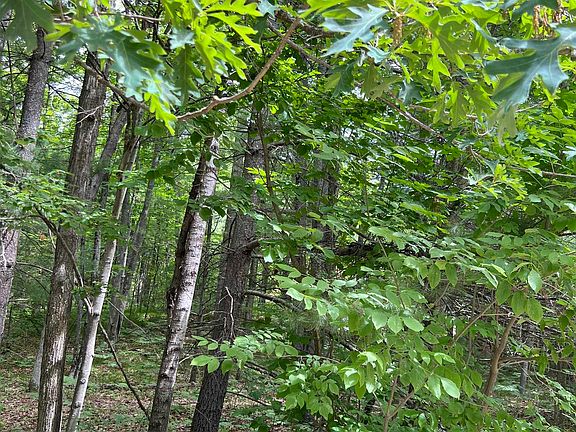 3rd image of 0 Clifton Dr
