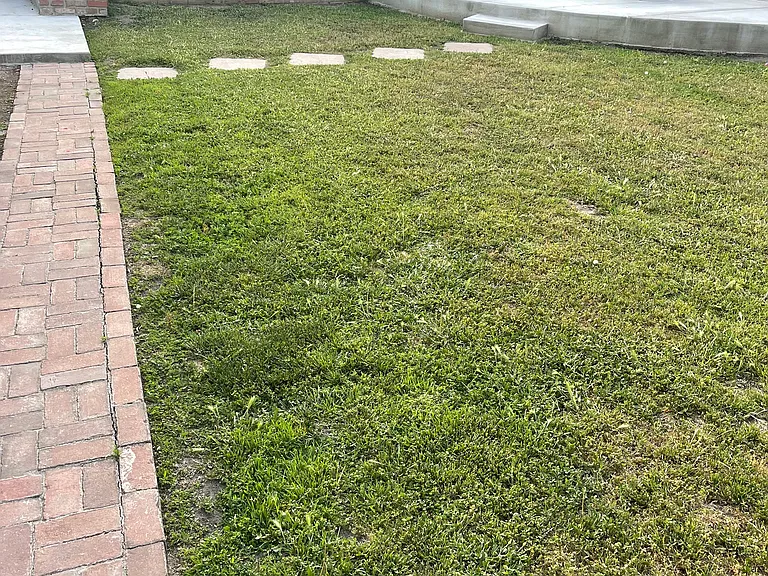 Large shared backyard with space and room to relax outdoors.