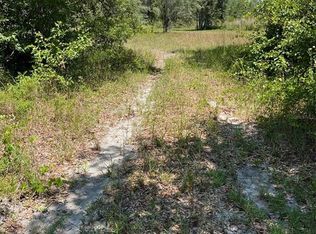 35139 Umbrella Rock Dr #5, Webster, FL 33597