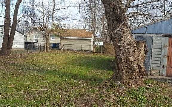 Back yard