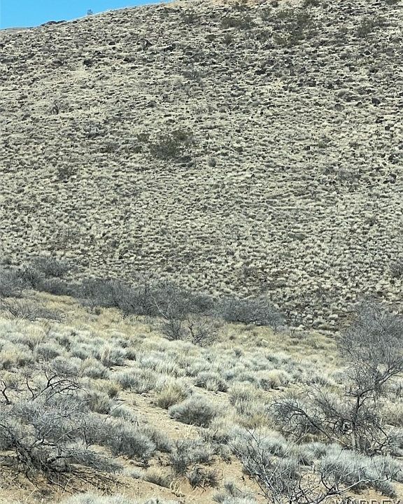 2nd image of 331-34-096D N MAGGIE Way