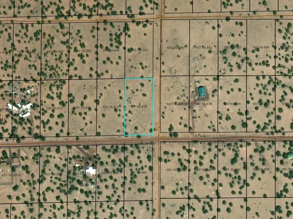 17 County Road 8003, Concho, AZ 85924