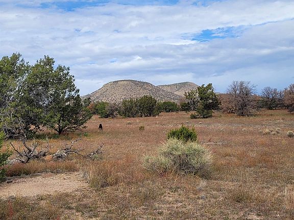 5th image of 15 Elk Ct