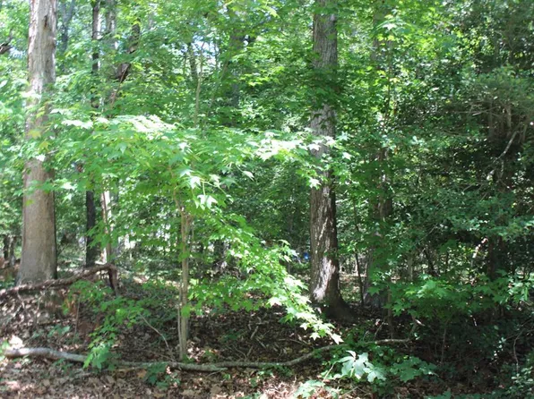 112 Custom Dr Lot 112, Greenbackville, VA 23356
