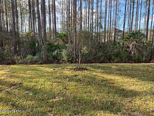 199 Scotch Pebble Dr — Photo 20