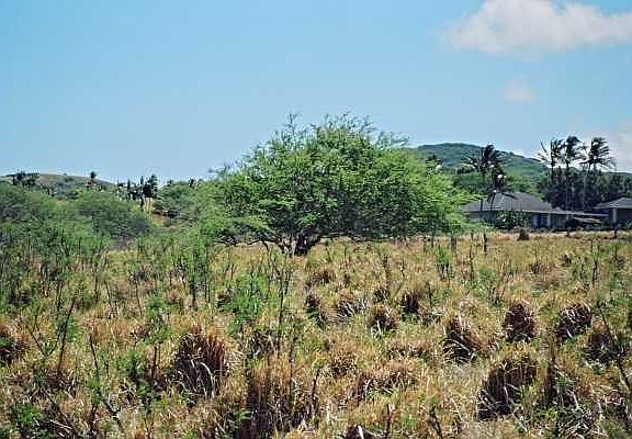 5th image of Puakea Dr Lot 214