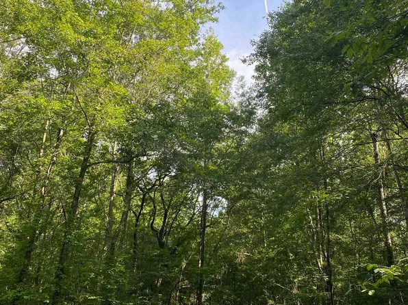 0 Mountain Springs Rd #0, Ashville, AL 35953