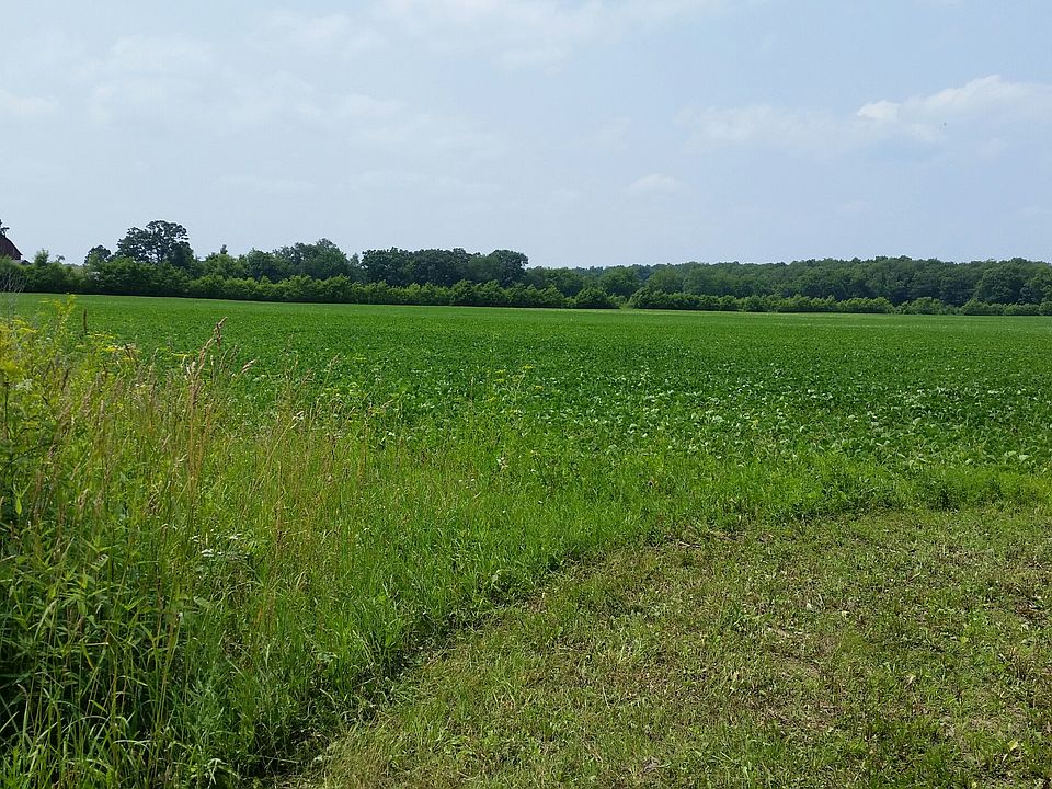 2nd image of Palmer Road