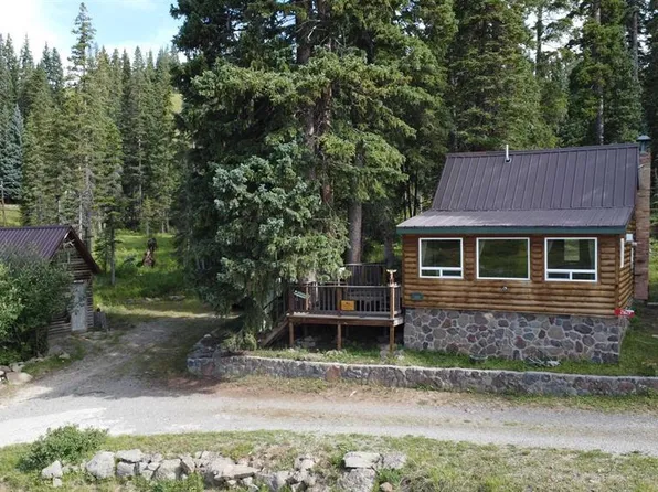 21629 Barron Lake Drive, Cedaredge, CO 81413