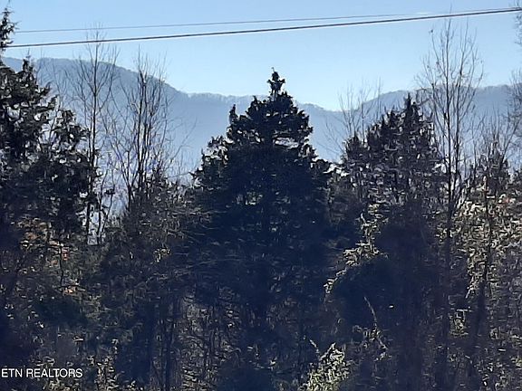 2nd image of 4171 Bob Thompson Rd