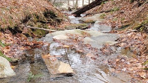 Small streams abound