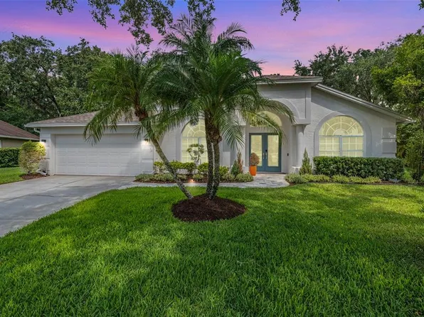 4797 Stonebriar Dr, Oldsmar, FL 34677