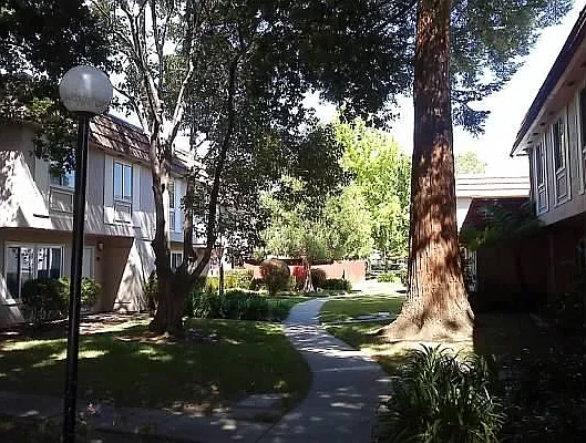 Green Garden with Path to Shopping Center across street
