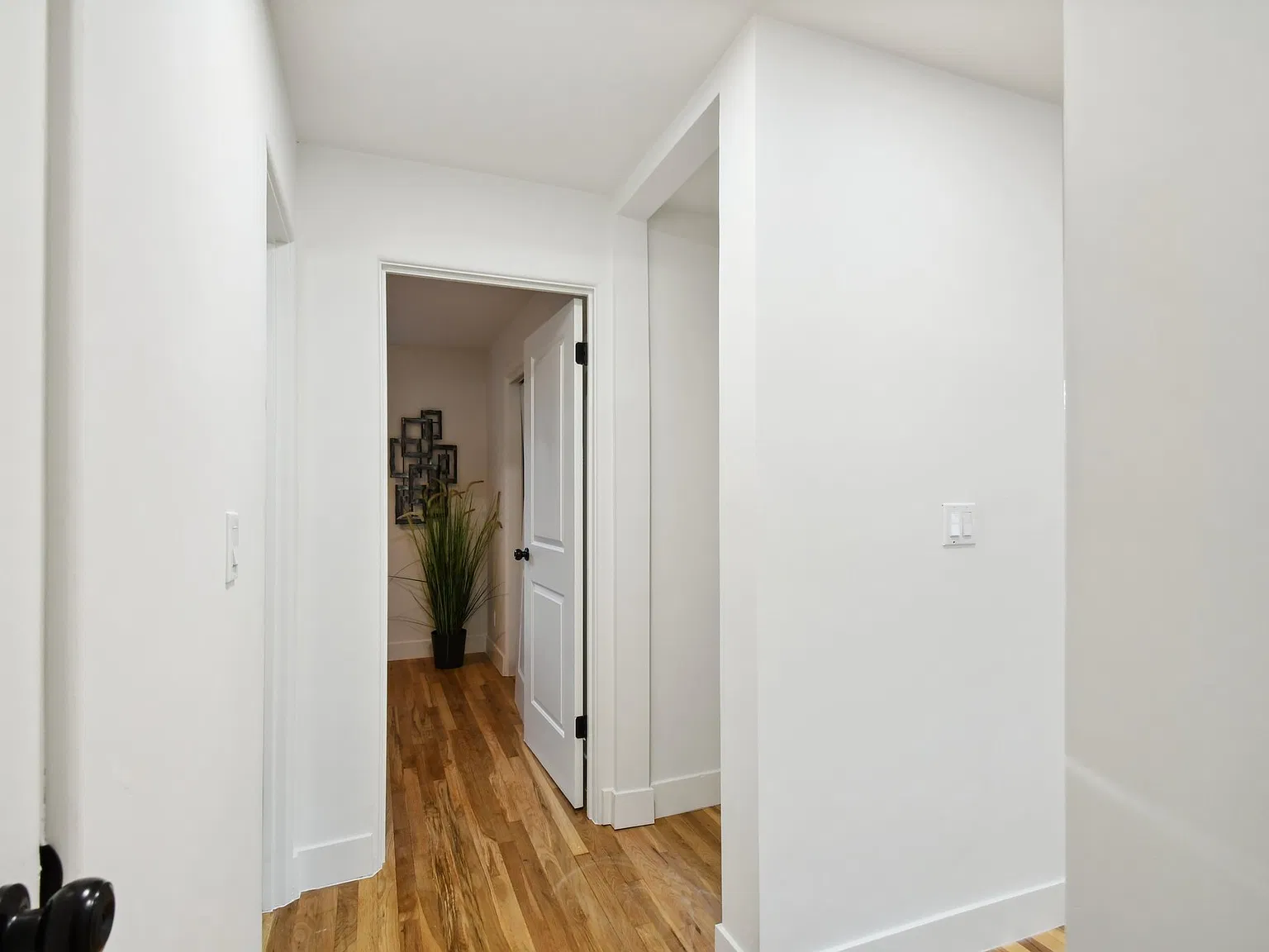 2 bed, 820 sqft, $2,200 — Photo 2