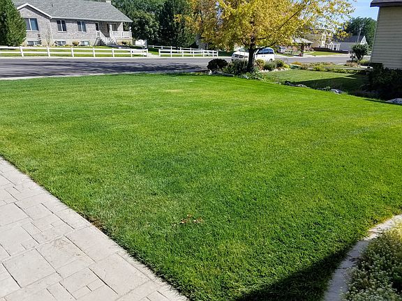 front yard view