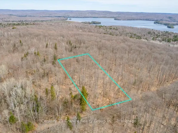 99 Forest View Rd, Hastings Highlands, ON K0L 2A0