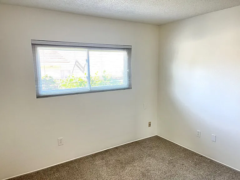 6398 Casselberry Way — Photo 11