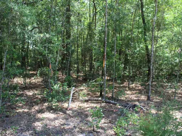 NE Golden Rain Ter, Lee, FL 32059