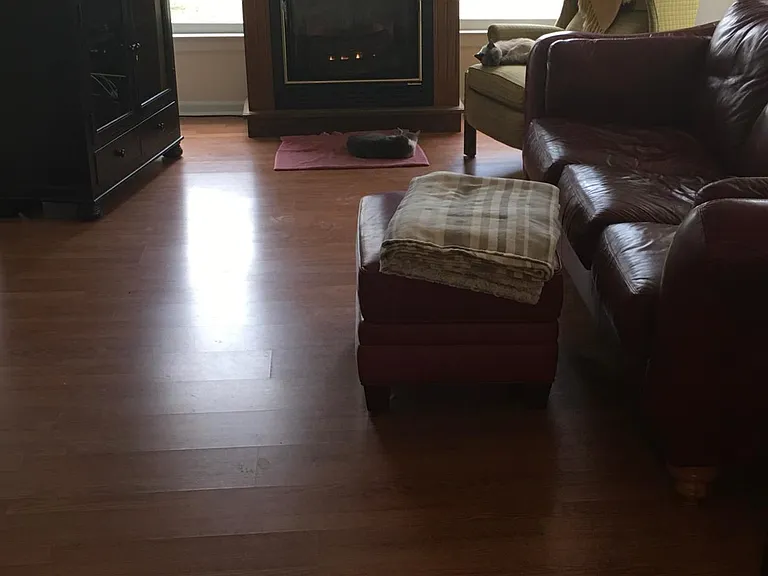 428 Glenn Brandon Rd — Photo 2