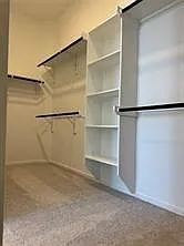 26227 Forest Brush Ln — Photo 17