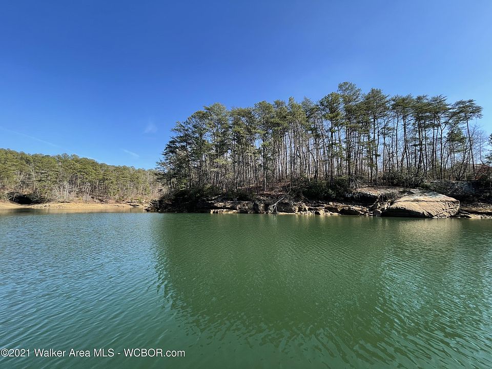 Image 1: Lot