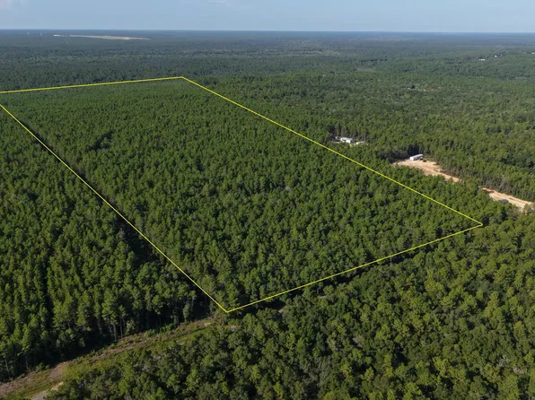 A Trawick Creek Rd, Holt, FL 32564