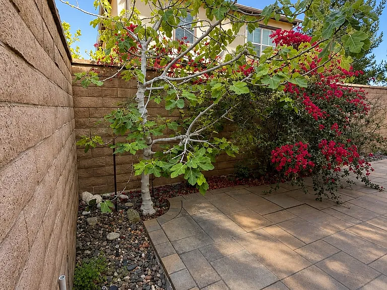 111 Rodeo — Photo 43