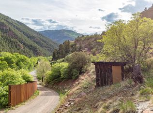 153 Blake Ave, Placerville, CO 81430