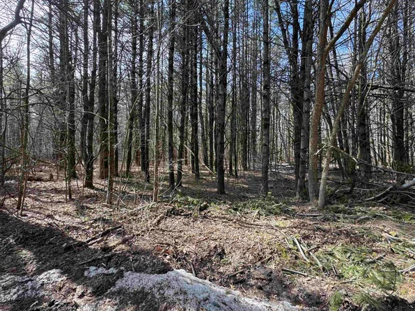 N1111 Grey Eagle Rd #32, Keshena, WI 54135