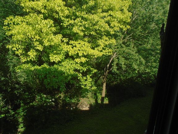 4th image of 9555 Arrowhead Dr APT D2
