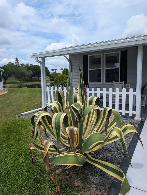 5626 Swan Lake Dr, unit 521 — Photo 2
