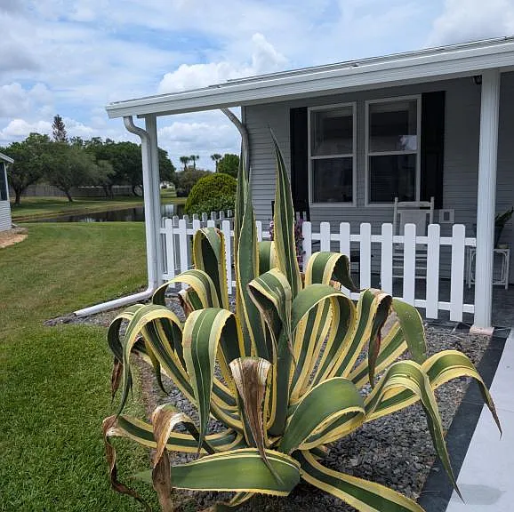 5626 Swan Lake Dr #521 — Photo 2