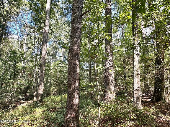 5th image of 3 Dry Creek Rd