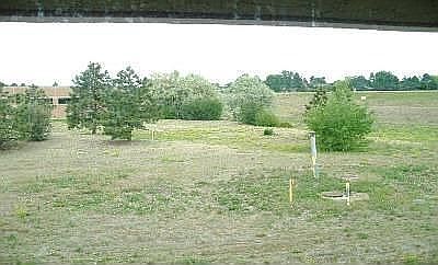 View from kitchen and master bedroom