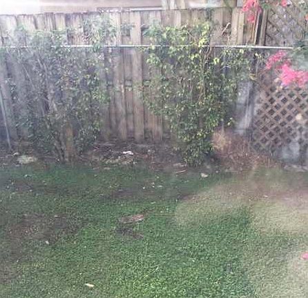 5th image of 8660 NW 5th Ter APT 108