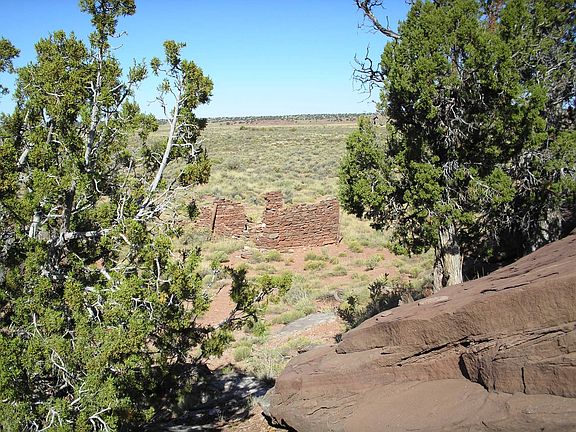 5th image of 628 Hwy 180 Concho Arizona