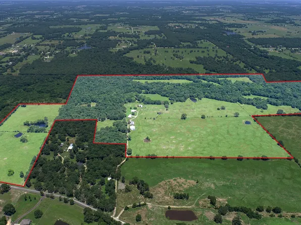 1095 Fm 194, Blossom, TX 75416