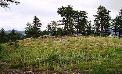 3rd image of 31579 Coal Creek Canyon Dr